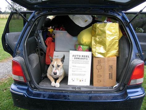 Removing Personal Items: Why it matters when shipping a car Moving Across Country, Moving Hacks Packing, Car Packing, Moving Van, Antique Bookcase, Moving Cross Country, College Survival, Tiny Cars, Packing To Move