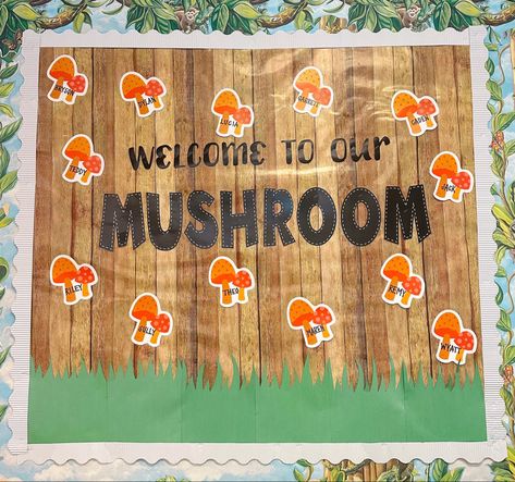 Back to School
Bulletin Board
Mushroom
Welcome Back
Preschool
Toddler
Teacher
Ideas Mushroom Bulletin Board, Mushroom Classroom Theme, Teacher Bulletin Boards, Daycare Room, Class Decor, Class Decoration, Word Wall, Classroom Themes, Bulletin Boards