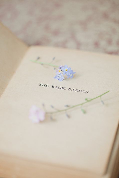 Untitled | Loreta | Flickr An Open Book, Magic Garden, 背景 シンプル, + Core + Aesthetic, Open Book, Forget Me Not, Pastel Aesthetic, Book Photography, Book Aesthetic