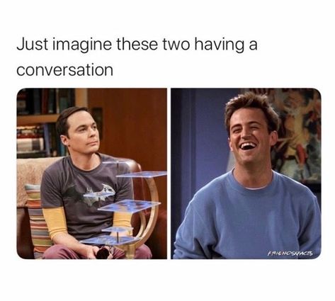 LOL. #sheldon v #chandler #bigbangtheory #friends Bigbang Theory Quotes, Big Bang Theory Memes Funny, The Big Bang Theory Memes, The Big Bang Theory Quotes, Big Bang Memes, Big Bang Theory Memes, Big Bang Theory Quotes, Comebacks Memes, Big Bang Theory Funny