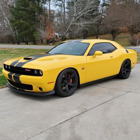 Dodge Charger Yellow, Yellow Challenger, Doge Challenger, First Car Ideas, Demon Car, Challenger Demon, Dodge Challenger Gt, Dodge Hellcat, Srt Demon