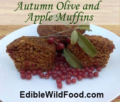 Autumn Olive Berry Recipes, Autumn Olive Recipes, Hot Apple Juice, Apple Muffins Recipe, Plant Recipes, Edible Recipes, Apple Muffin Recipes, Aphrodisiac Foods, Autumn Olive