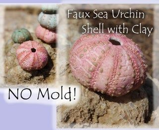 Sea Urchin Skeleton From Clay: Display or Jewelry Purposes : 10 Steps (with Pictures) - Instructables Clay Display, Sea Urchin Shells, Lightning Bug, Sea Urchin Shell, Shells Diy, Sea Urchins, Air Dry Clay Projects, Bible School Crafts, Clay Crafts Air Dry