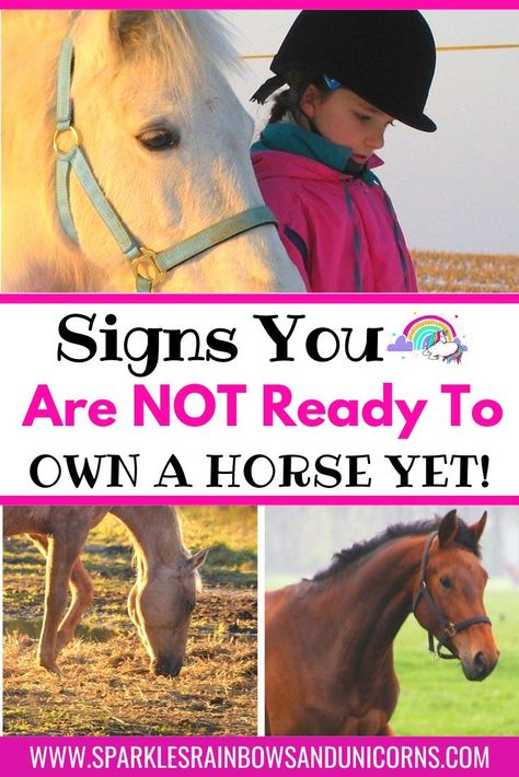 How To Tack Up A Horse English, Things To Know About Horses, Things To Do With Horses, Owning A Horse For The First Time, How To Take Care Of A Horse, Horse Must Haves, Horse Tips And Tricks, Horse Riding Tips English, Things To Do With Your Horse