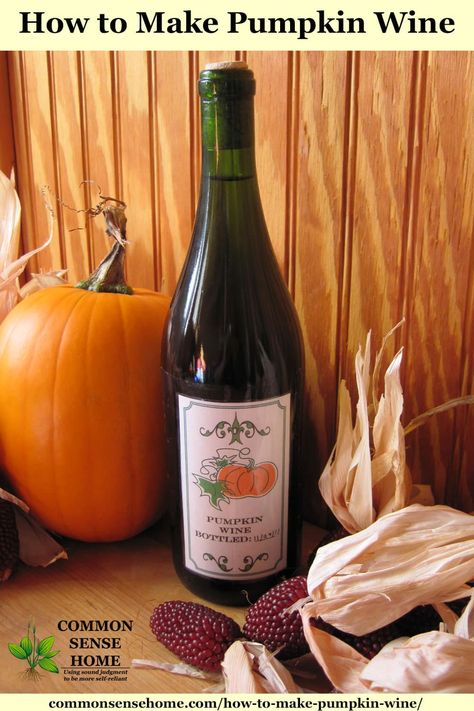 Homemade Wine Recipes, Pumpkin Wine, Homemade Alcohol, Homemade Liquor, Pumpkin Spice Recipe, Pumpkin Recipe, Dry Wine, Homemade Wine, How To Make Pumpkin