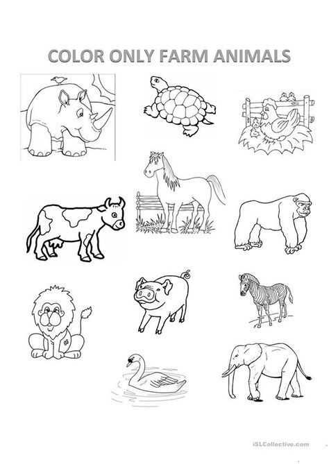 Color Worksheets For Kindergarten, Animals Worksheets For Kindergarten, Writing Kindergarten Worksheets, Evs Worksheet, Coloring Preschool, Teaching Kids Letters, Animals Worksheet, Hindi Poems For Kids, Farm Animals Pictures