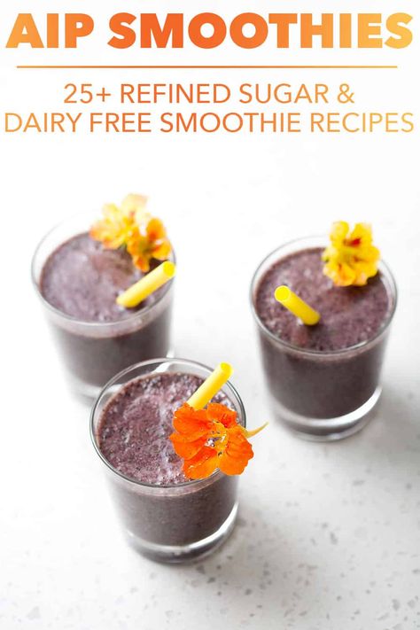 Finding healthy AIP Smoothies that also taste good can be a challenge. I’ve rounded up my favorite AIP diet smoothies that do both! Aip Smoothie, Egg And Grapefruit Diet, Diet Smoothies, Free Smoothie Recipes, Aip Breakfast, Autoimmune Paleo Recipes, Dairy Free Smoothies, Autoimmune Diet, Egg Diet Plan