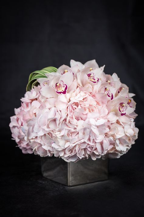 PURE LOVE 2.14.14: Pink Hydrangea and Pink Cymbidium Orchid Arrangement #valentinesday #love #amore #flowers Cymbidium Orchid, Color Wheels, Low Centerpieces, Hydrangea Garden, Orchid Wedding, Orchid Arrangements, Reception Centerpieces, Cymbidium Orchids, Pink Hydrangea