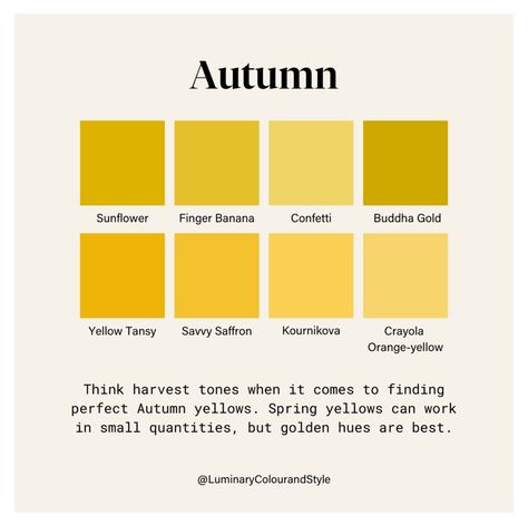 Autumn Color Pallet, Twilight Autumn, Autumn Color Palette Fashion, Castle Dress, Deep Autumn Color Palette, Yellow Color Palette, Color Seasons, True Autumn, Autumn Palette