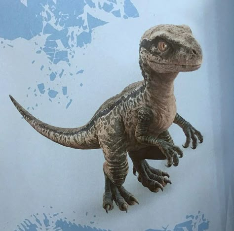 Jurassic World Fallen Kingdom New Blue baby photo Jurassic World Raptors, Blue Jurassic World, Jurassic World 3, Dinosaur Tattoos, Fallen Kingdom, Indominus Rex, Jurrasic Park, Bamboo Stick, Jurassic World Fallen Kingdom