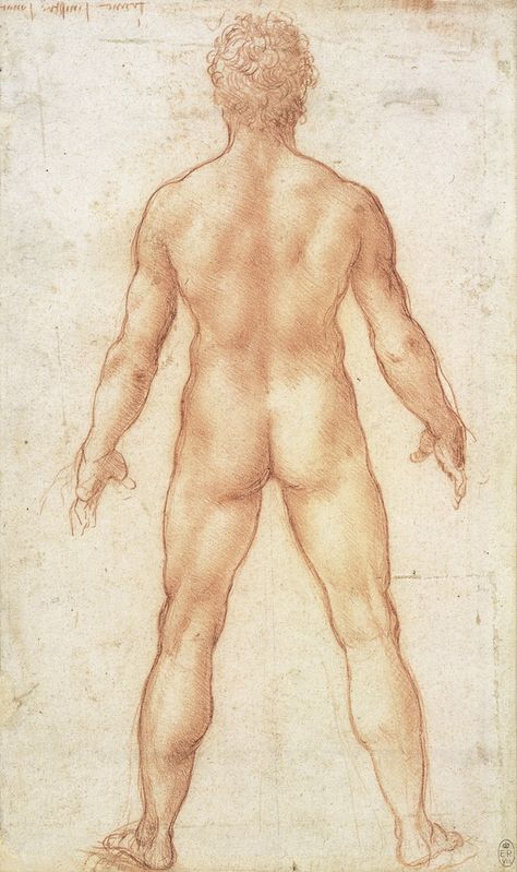 Leonardo Da Vinci Dibujos, National Gallery Of Ireland, Master Drawings, Male Figure Drawing, Master Drawing, Human Figure Drawing, Figure Drawings, The Royal Collection, Figure Study