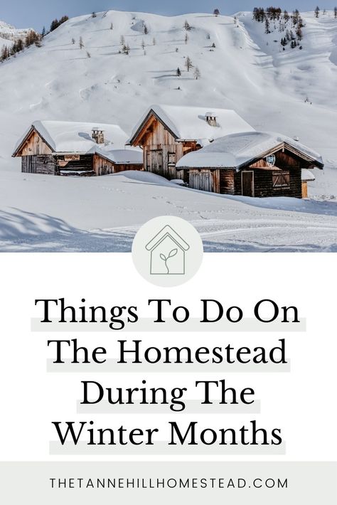 15 Things To Do On The Homestead During The Winter Months Winter Homesteading, Winter Homestead, Harsh Winter, Worm Composting, The Homestead, Earthworms, Seed Company, Enjoy Time, Soil Improvement