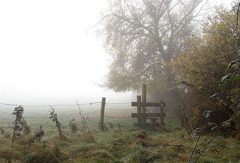 Hadrians Wall, Roman Era, Morning Fog, Forest Hill, Cottage In The Woods, Love Scenes, Back Road, Urban Legends, English Countryside