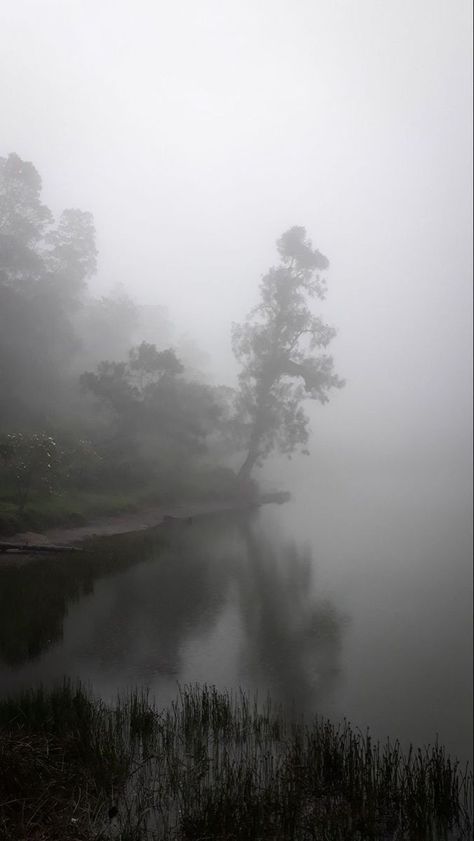 Paradis Sombre, Foggy Nature, Scandinavian Landscape, Misty Lake, Dark Naturalism, Dark Forest Aesthetic, Rainy Day Aesthetic, Dark Landscape, Dark Green Aesthetic