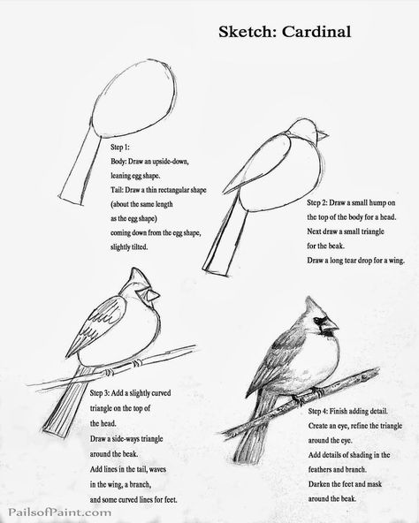 306 best drawing birds images on Pinterest | Drawing birds, Draw animals and Bird drawings Cardinal Drawing, Book Lessons, Draw Birds, Sketch Page, Cardinal Bird, Art Instructions, Paint Art, Winter Art, Bird Drawings