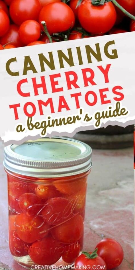 Canning Cherry Tomatoes For Beginners, Water Bath Canning Cucumber Recipes, Canning Cherry Tomatoes Salsa, Cherrie Tomato Recipes, Canning With Cherry Tomatoes, How To Can Tomatoes Easy, Canning Recipes For Cherry Tomatoes, Water Bath Canning Tomato Recipes, Cherry Tomato Preserving