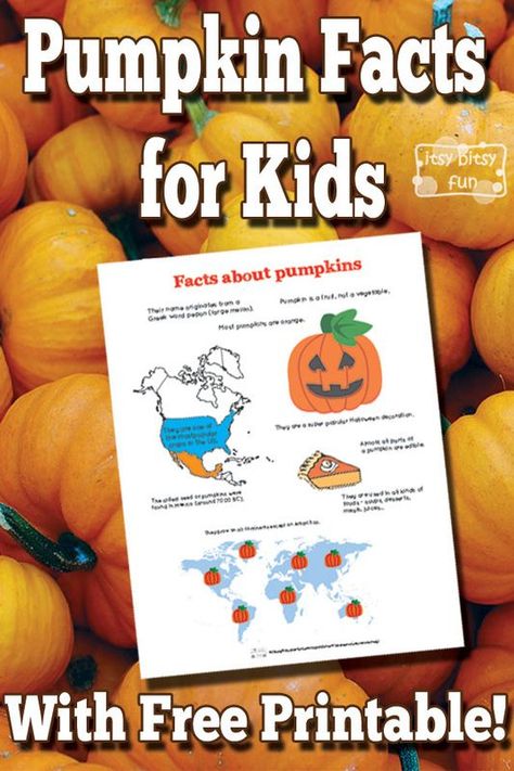 Pumpkin Facts for Kids With Free Printables Free Learning Printables, Pumpkin Facts, Kindergarten October, Pumpkin Lessons, Autumn Projects, Pumpkin Unit, Pumpkin Life Cycle, Ag Teacher, Fun Facts For Kids