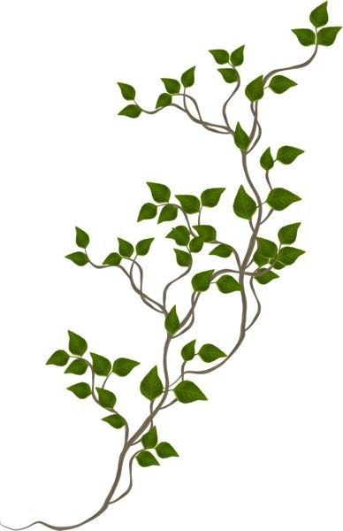 Floral Vine Drawing, Fleurs Art Nouveau, Drawing Borders, Creepers Plants, Vine Drawing, Png Flowers, Floral Textile, Vine Tattoos, Vintage Borders