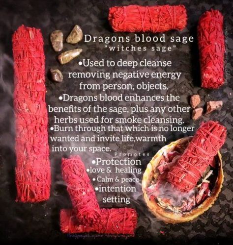 Red Sage Benefits, Red Sage Smudge Benefits, Dragon Blood Incense Benefits, Dragons Blood Incense Meaning, Daily Spells, Dragons Blood Sage, Indian Rituals, Smudging Ceremony, Sage Benefits