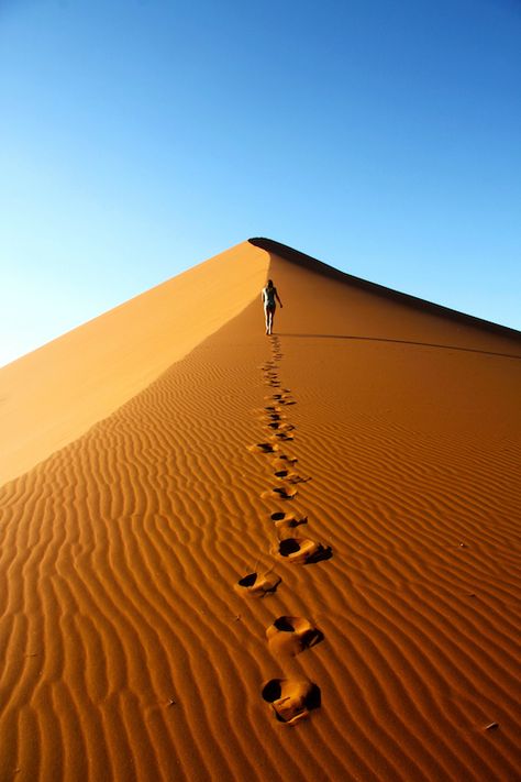 Footprints, Namib-Naukluft National Park in Namibia - a long treak - www.seacruisevilla.com Namibia Desert, Footprints In The Sand, Deserts Of The World, Desert Landscaping, Sand Dunes, Magical Places, The Sand, Aladdin, Beautiful World