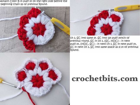 Free Crochet Paw Print Coaster Pattern - Crochet Bits