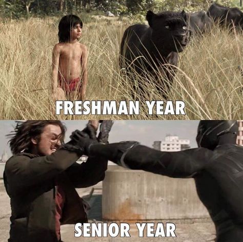 Super Senior, Bucky Barnes Winter Soldier, Marvel Funny, Marvel Fan, Marvel Memes, Avengers Assemble, Bucky Barnes, Senior Year, Marvel Cinematic Universe