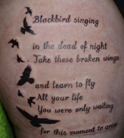 black bird. Love this song! Bird Tattoo Neck, Blackbird Art, Bird Tattoos For Women, Night Tattoo, Freedom Tattoos, Blackbird Singing, Bird Tattoo Wrist, Black Bird Tattoo