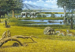 History of Earth - Pliocene Epoch - (Cenozoic Era) Cenozoic Era, History Of Earth, Three Million, Prehistoric Wildlife, Prehistoric World, Offshore Wind, Paleo Art, Green Technology, Carbon Dioxide