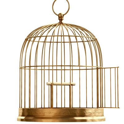 human sized cage - Google Search Open Bird Cage, Hanging Bird Cage, Pvc Pipe Crafts, Life Drawing Reference, Vintage Bird Cage, Bird Cages, Bird Decor, Bird Drawings, Bird Cage