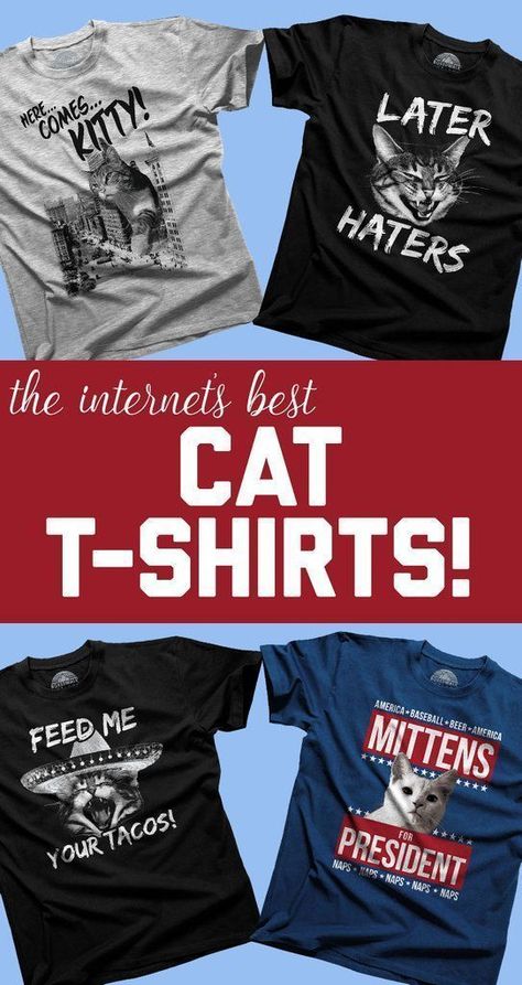 If you haven't guessed it yet, #Boredwalk is crazy about kitties. Brand founders Matt & Meredith have two little fur-kiddos at home who make frequent appearances in our Instagram feed. If you can't imagine life without cats, these cat tshirts are the perfect way to announce your crazy cat lady or crazy cat dude status! Cat t-shirts from #Boredwalk make purrfect gifts for cat lovers & gifts for pet lovers. Add to your funny cat shirt collection with cat shirts funny enough to make everyon Cat Lovers Gifts, Funny Animal Shirts, Cat Tee Shirts, Gifts For Cat Lovers, Cat Tshirts Funny, Fashion Pics, Cat Lover Shirt, Party Animal, Cat Tee