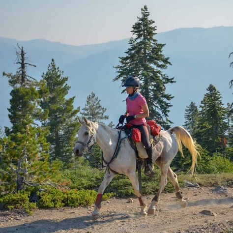 Find out how Claire Godwin, DVM, keeps her 27-year-old endurance horse PL Mercury in elite condition, from joint support to conditioning tactics. Endurance Riding Aesthetic, Horse Endurance Riding, Cute Horse Riding Outfits, Shagya Arabian, Endurance Horse, Performance Ideas, Endurance Riding, Horse Art Drawing, Horse Magazine