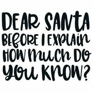 Christmas Sassy Quotes, Sassy Christmas Quotes, Dear Santa Quotes, Did You Know Funny, Funny Christmas Sayings, Santa Quotes, Svg Ideas, Holiday Quotes, Christmas Funny