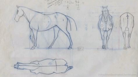 tumblr_o4qz3v1dO91rc3pqko1_500.gif (500×281) Traditional Animation, Horse Animation, Pencil Test, Horse Anatomy, Animation Gif, Animation Sketches, Hur Man Målar, Animation Tutorial, Horse Drawing