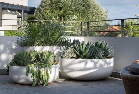 Organic, low bowls in a range of sizes to suit many uses. Large Outdoor Planters, Potted Plants Outdoor, Patio Planters, Outdoor Pots, Modern Planters, Outdoor Gardens Design, Garden Landscape Design, Large Planters, Modern Landscaping