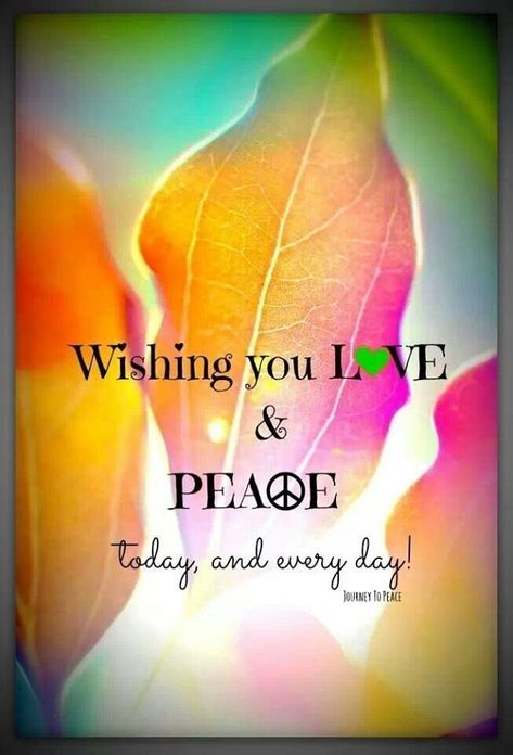 Hippie Quotes, Now Quotes, Peace Love Happiness, Give Peace A Chance, Love And Peace, Peace Quotes, Peace On Earth, World Peace, Love And Light