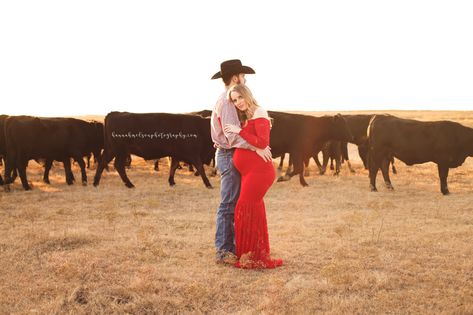 Farm Maternity Pictures Cows, Farm Maternity Pictures Family, Maternity Pictures With Cows, Cow Maternity Pictures, Maternity Farm Photoshoot, Farm Maternity Pictures, Farm Maternity Shoot, Western Maternity Shoot, Western Maternity Pictures