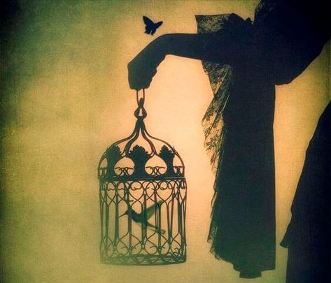 A Bird Born in a Cage Will Think Flying Is an Illness متحف فني, Art Noir, Foto Art, Bird Cages, Gothic Art, Pics Art, A Butterfly, Rumi, Writing Inspiration