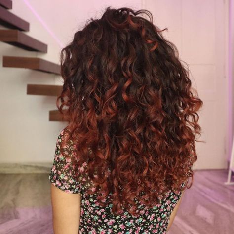 Mahogany Ombre on Long Curly Hair Mahogany Hair Color Curly, Brown Red Balayage Curly Hair, Red Curly Hair Balayage, Dark Red Balayage Curly Hair, Red Balayage On Curly Hair, Curly Mahogany Hair, Brownish Red Hair Curly, Cool Curly Hair Color, Curly Hair Color Inspiration