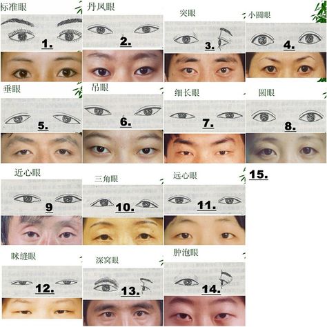 Type of Asian Eyes Asian Facial Features Drawing, Eye Types Drawings, How To Draw Asian Features, Asian Facial Features, Asian Eye Shapes, Magic Pose, Anatomy Guide, Asian Features, Draw Head