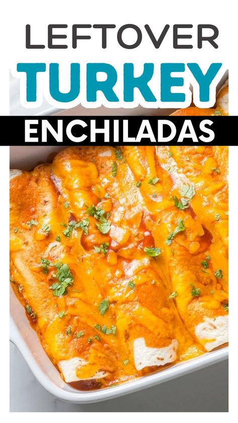 Easy ground turkey enchiladas are a great recipe that's super easy and healthy with a low-fat protein source. All of the flavors everyone loves and perfect for quick weeknight meals. Make it even easier by using leftover turkey or shredded turkey for the ultimate quick healthy dinner that the whole family will enjoy! Ground Turkey Enchiladas Easy, Turkey Enchiladas Leftover, Enchiladas Turkey Ground, Healthy Ground Turkey Enchilada Recipe, Turkey Enchilada Skillet, Turkey Stir Fry Recipes, Best Ground Turkey Recipes, Using Leftover Turkey, Ground Turkey Enchiladas