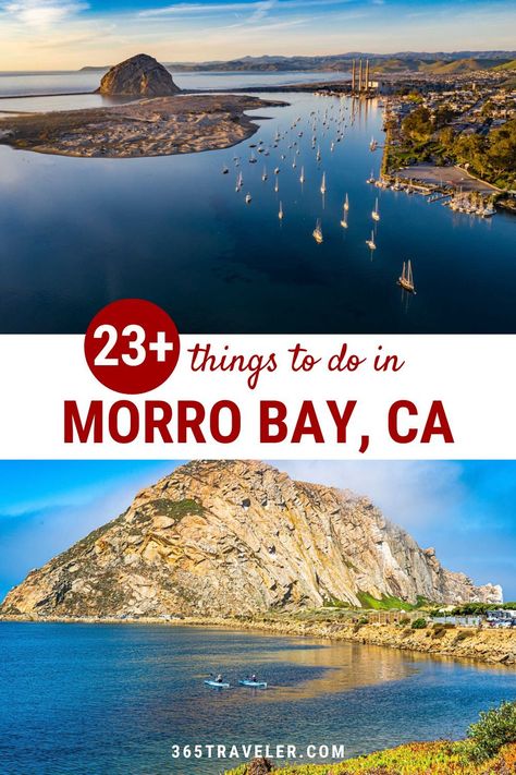 I have a little secret. Morro Bay, CA was probably my favorite place on our trip to central California. And we packed a lot of awesomeness into a single week, so that is a pretty bold statement. If you're looking to visit Morro Bay, we've got lots of tips for you. Here are some of the best things to do in Morro Bay that you don't want to miss! Morro Bay California, Central California, Volcanic Rock, Seaside Towns, Road Trip Usa, Sand Dunes, California Travel, The Sand, The Locals