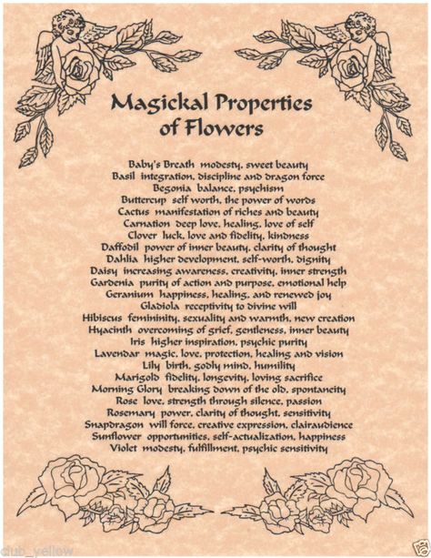 Bee Pollen Magical Properties, Gardenia Magical Properties, Fleabane Magical Properties, Globe Amaranth Magical Properties, Wisteria Magical Properties, Geranium Magical Properties, Chrysanthemum Magical Properties, Hydrangea Magical Properties, Lilac Magical Properties