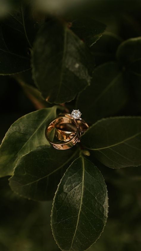 Wedding Ring Photoshoot Ideas, Wedding Rings Photography Ideas, Ring Pictures Ideas, Wedding Ring Photoshoot, Rings Photoshoot Ideas, Ring Photoshoot Ideas, Rings Photoshoot, Ring Shots Wedding, Ring Shoot