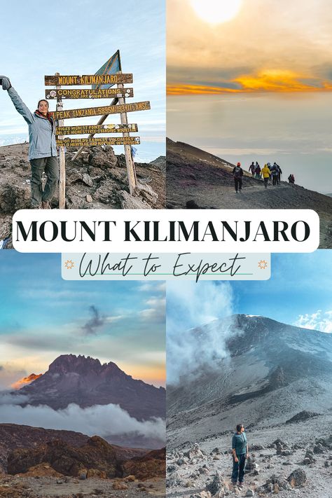 A look into what to expect when climbing Mount Kilimanjaro! A day by day walkthrough of the terrain, what I wore and my experience. Mt Kilimanjaro Climb, Climb Kilimanjaro, Desert Clothing, Traveling Goals, Kilimanjaro Climb, Forest Clothes, Altitude Sickness, Mount Kilimanjaro, Best Rock