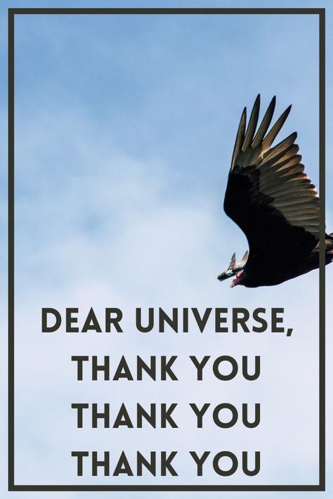 Money Affirmations Thank You Universe Quotes, Thank You Universe Gratitude, Thank You Universe, Quotes About The Universe, Krishna Quotes In Hindi, Win For Life, Unique Words Definitions, Money Financial, Universe Quotes