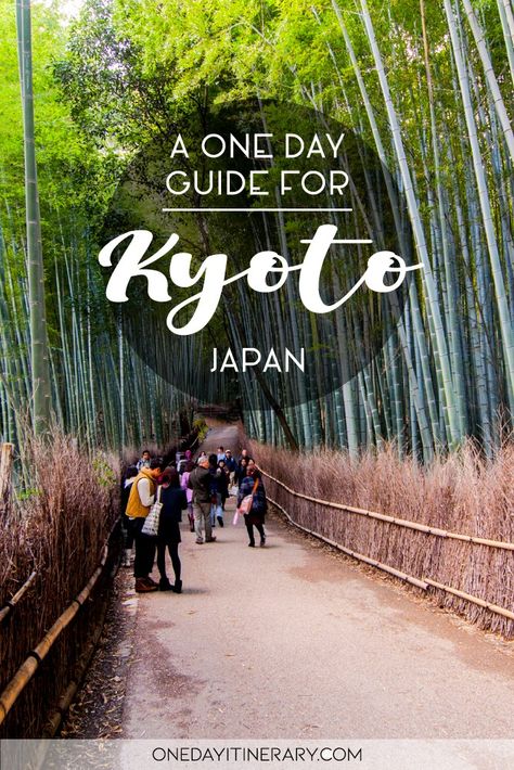 Kyoto Day Trip, Fushimi Inari Shrine, Kyoto Itinerary, Inari Shrine, Visit Kyoto, Fushimi Inari, Japan Itinerary, Kyoto Travel, Japan Travel Tips