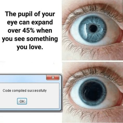 20 Programming Memes That'll Trigger Any Developer Coding Java, Computer Jokes, Programing Jokes, Coding Humor, Programmer Jokes, Programming Humor, Engineering Memes, Nerd Jokes, Computer Humor