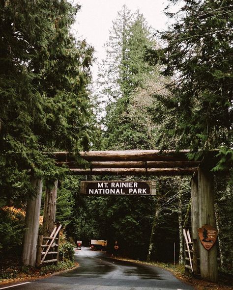 Camping Aesthetic, Mount Rainier National Park, Rainier National Park, Park Ranger, To Infinity And Beyond, Travel Inspo, Oh The Places Youll Go, Pretty Places, Adventure Awaits