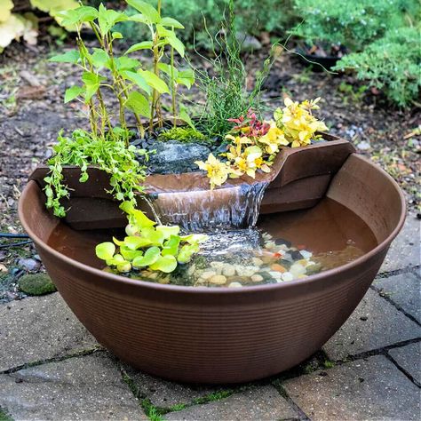 The water feature I ordered from Wayfair Resin Pond, Mini Pond, Pond Kits, Container Water Gardens, Patio Pond, Tattoo Plant, Decorative Gravel, Pond Waterfall, Floating Plants