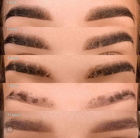 Microblading Eyebrows Training, Mircoblading Eyebrows, Ombre Eyebrows, Types Of Eyebrows, Best Eyebrow Makeup, Beginner Tattoos, Eyebrow Design, Brow Tattoo, Scalp Micropigmentation